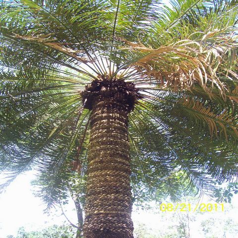 tn_100_5926.JPG