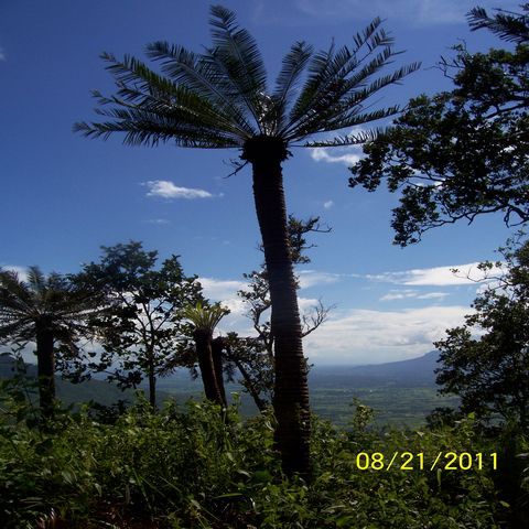 tn_100_5946.JPG