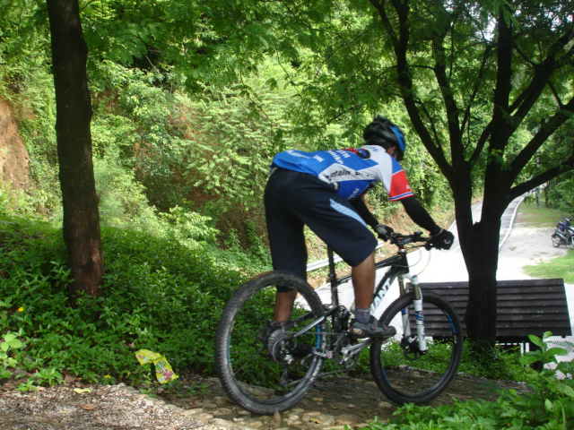 DSC08740.JPG