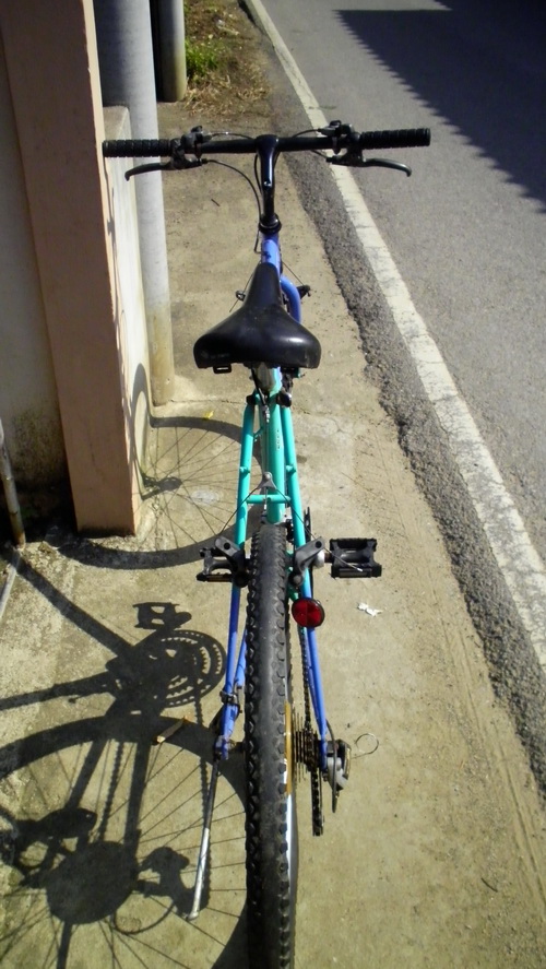 SANY2813.jpg