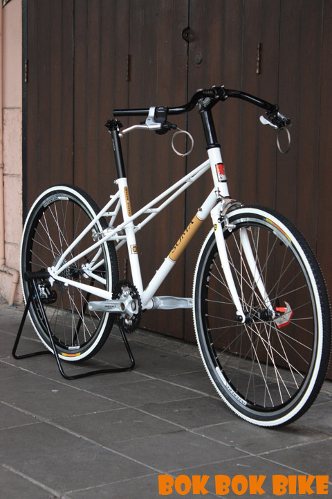 BV004.jpg
