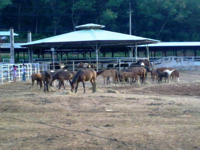 27082011492.jpg