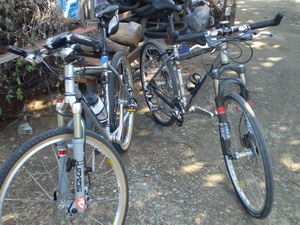 PC190386.jpg