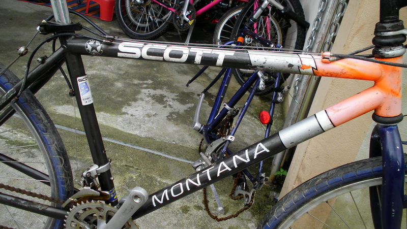 SANY2824.jpg