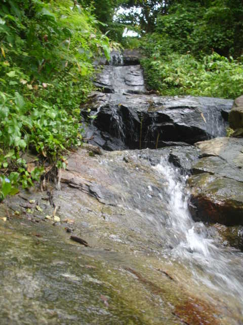 DSC09913.JPG
