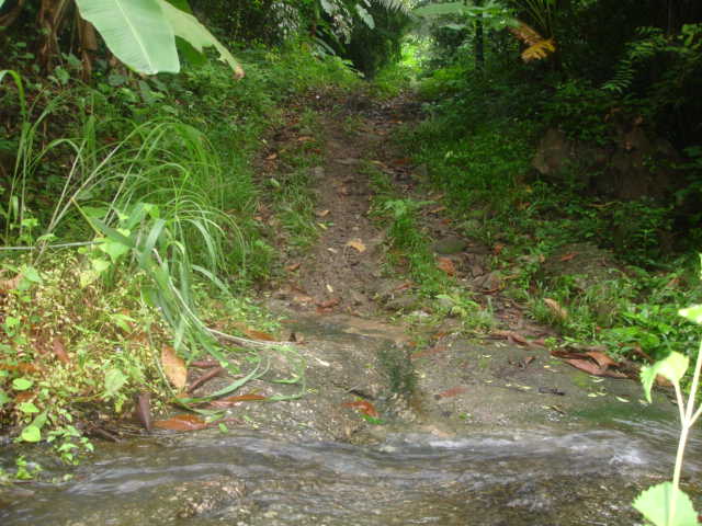 DSC07426.JPG