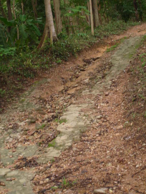 DSC09933.JPG