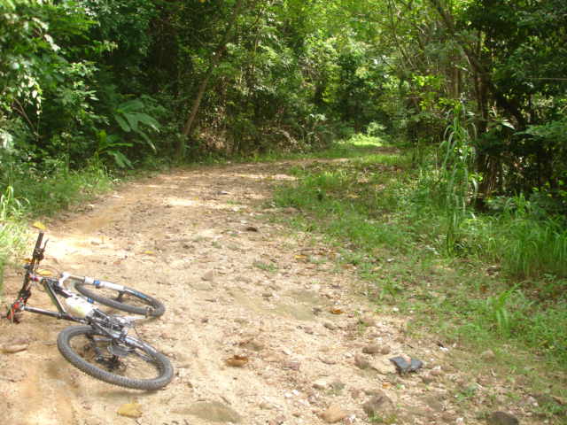 DSC08232.JPG