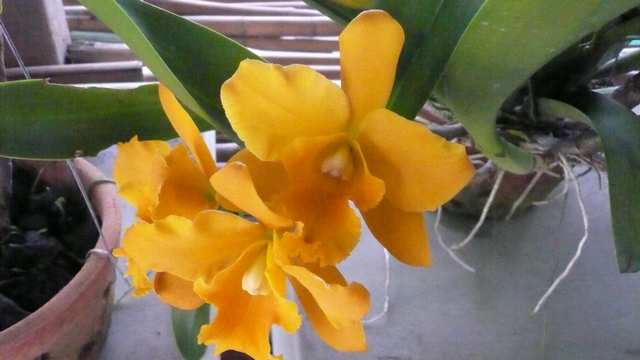Image00020.jpg