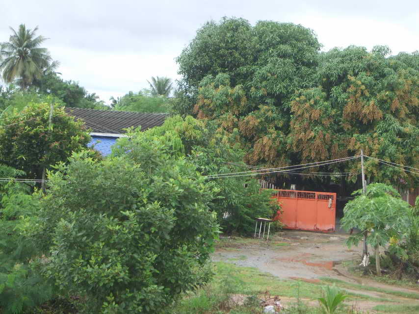 DSCF5023.JPG