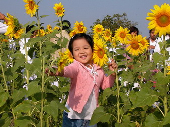 p2.jpg