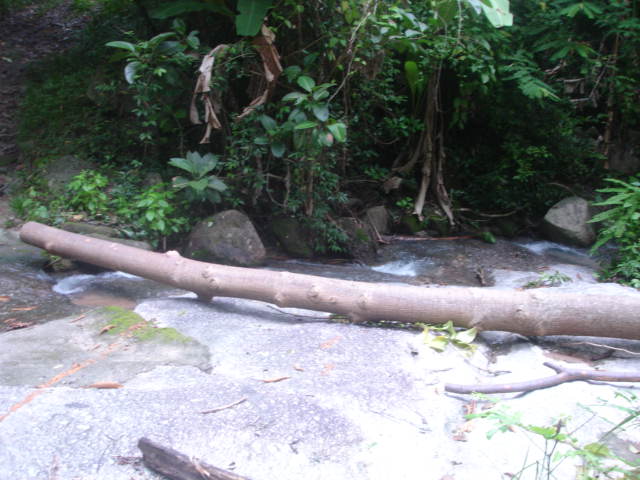 DSC00578.JPG
