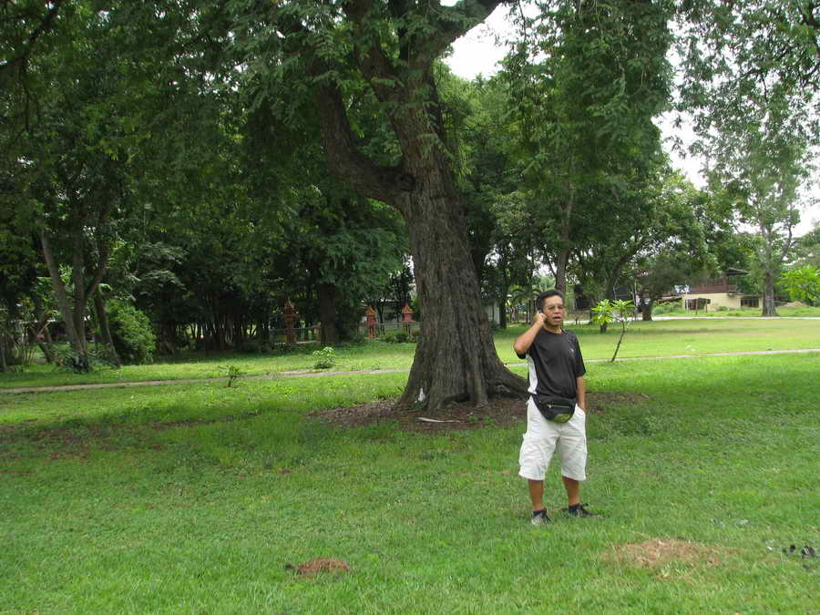 IMG_8528_resize.JPG