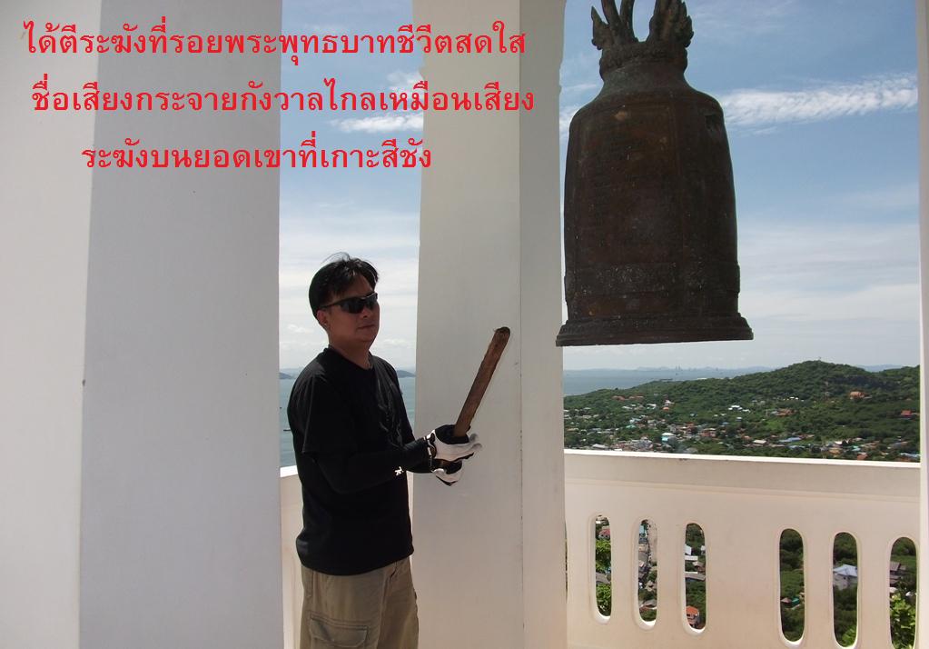13.JPG