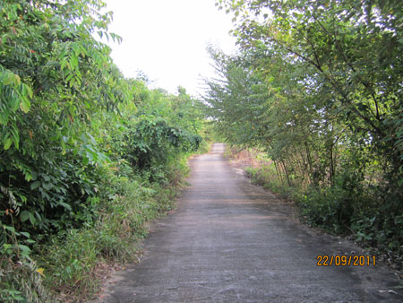 Picture-025.jpg