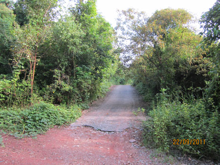 Picture-021.jpg