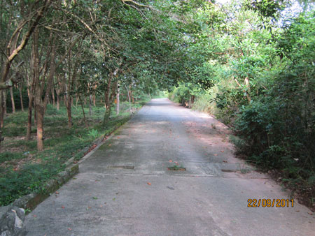 Picture-020.jpg