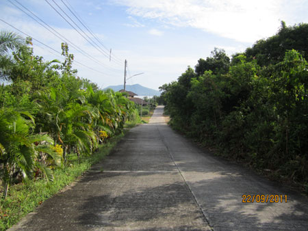 Picture-054.jpg