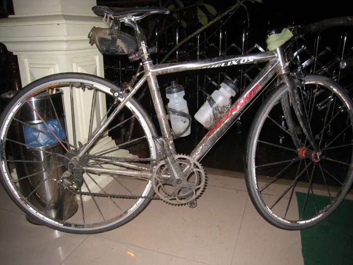lynskey.jpg