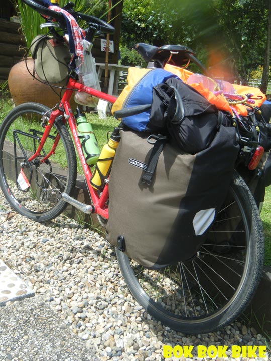 Back-Roller-Plus-Hasel-Black-002.jpg