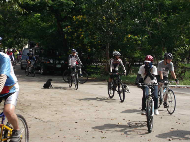 DSCF2382.JPG