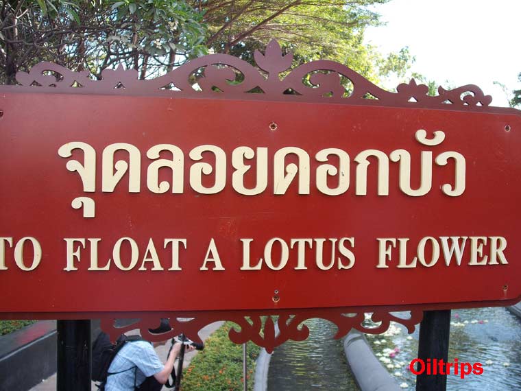 จุดที่ให้ปล่อยดอกบัวลอยน้ำ