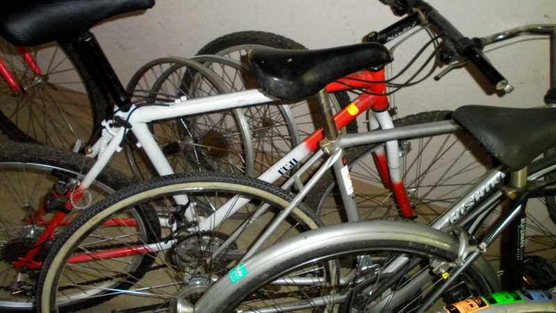 SANY2858.jpg
