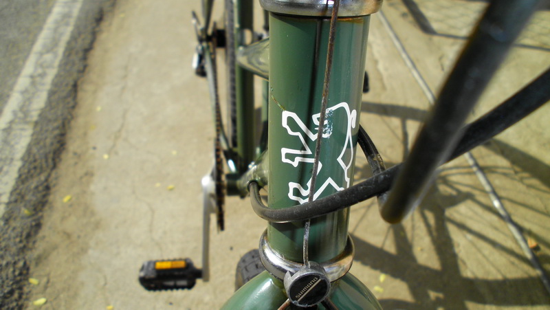 SANY2847.jpg