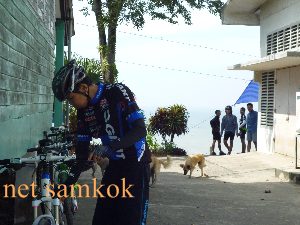 netP1010312.JPG