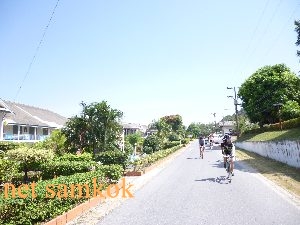 netnetP1010354.JPG