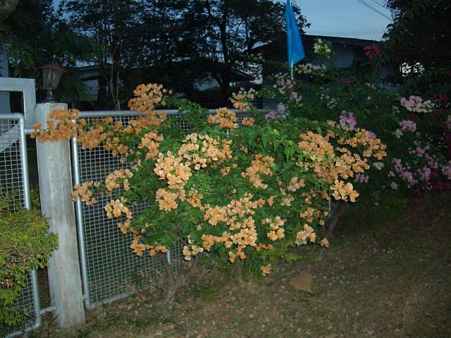 809.jpg
