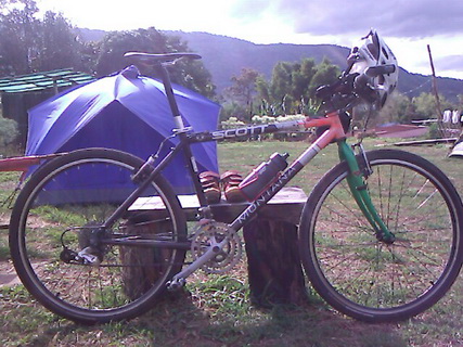 11-11-23-085549.jpg