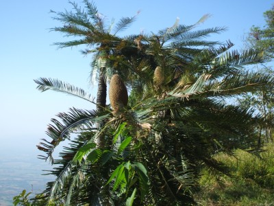 DSCF0618.jpg