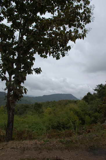 DSC_0202.jpg