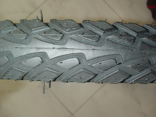 DSC00576.jpg