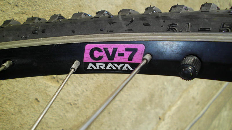SANY2894.jpg
