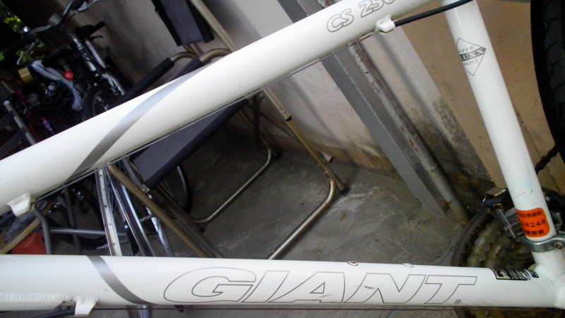 SANY2885.jpg
