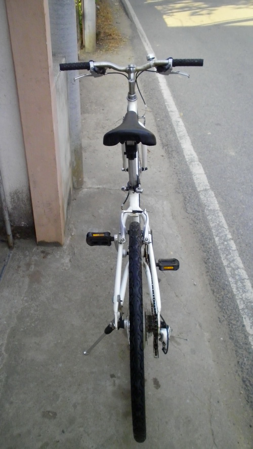 SANY2880.jpg