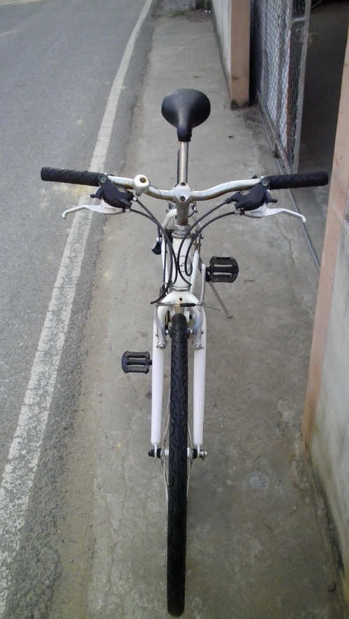 SANY2878.jpg