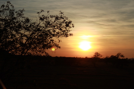 DPP_0100.JPG