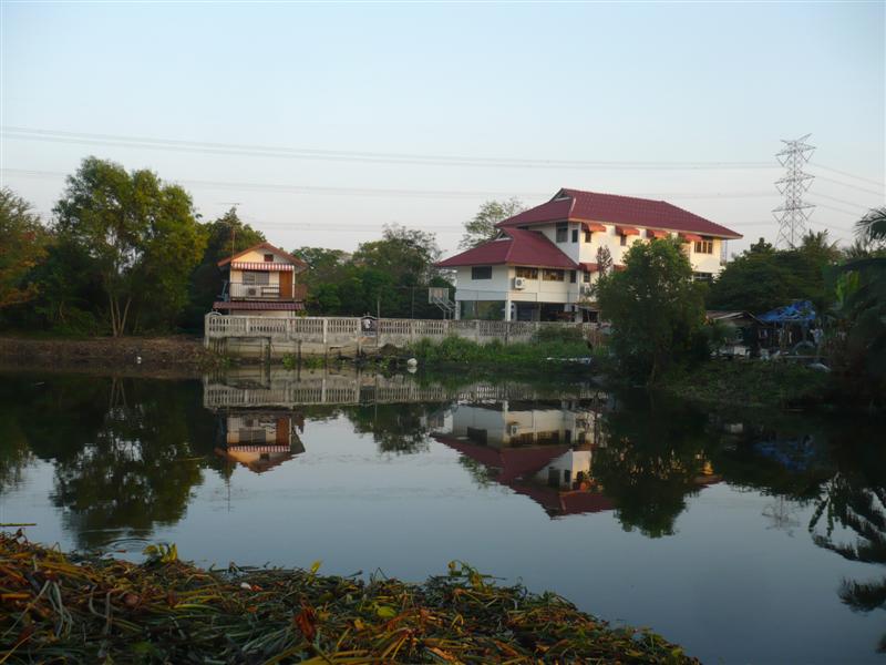 P1200317 (Medium).JPG