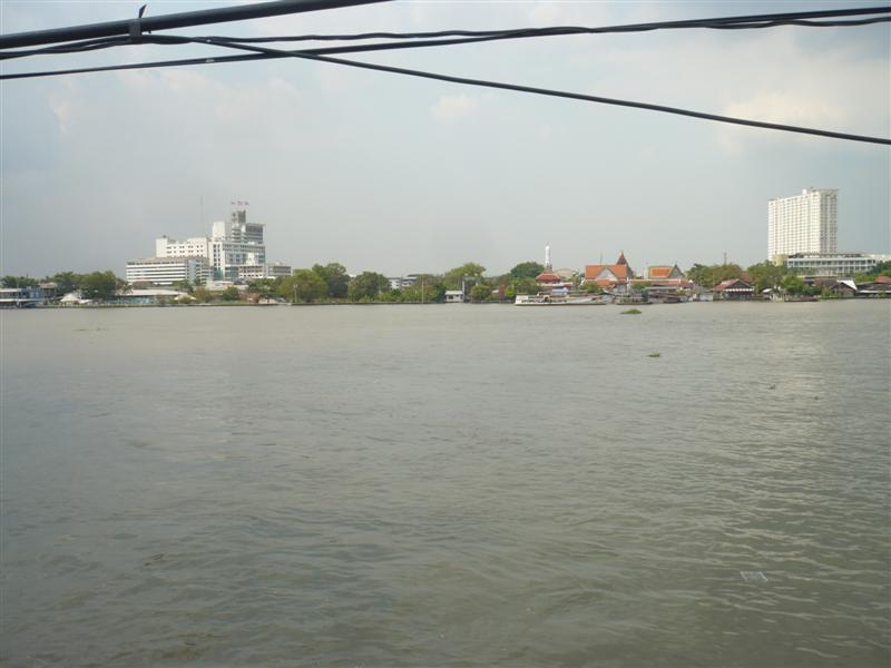 P1200088 (Medium).JPG