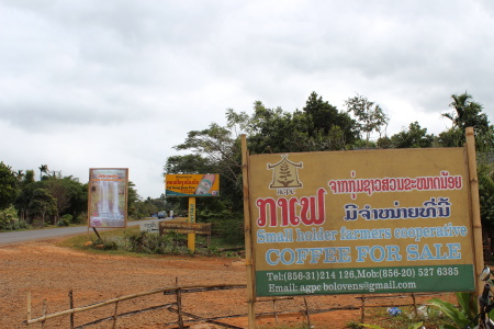 DPP_0680.JPG