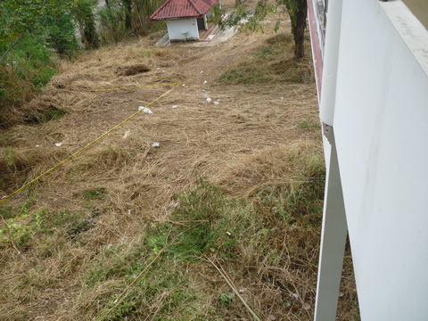P1020358-1.jpg