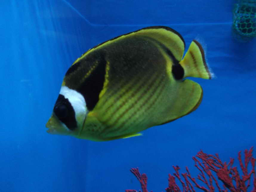 DSCF3307.JPG