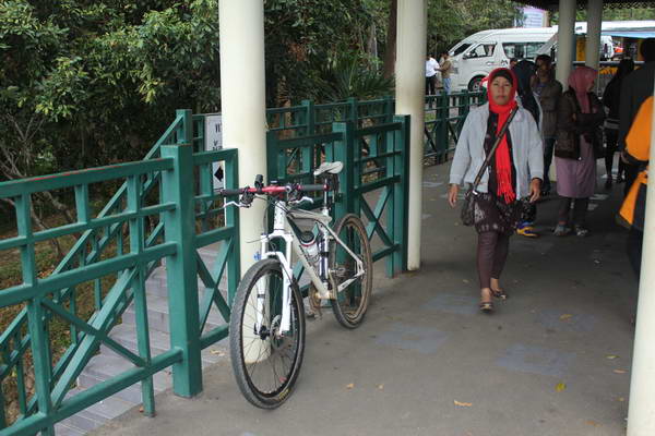 IMG_7494_resize.JPG