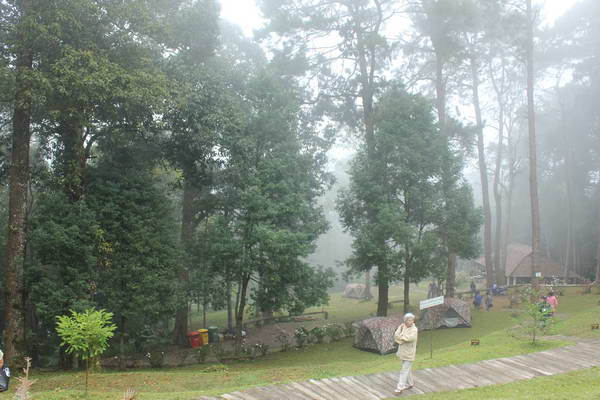 IMG_7601_resize.JPG