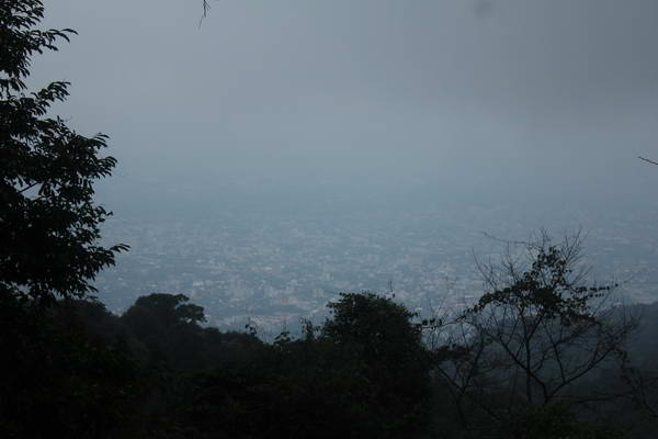 IMG_7614_resize.JPG