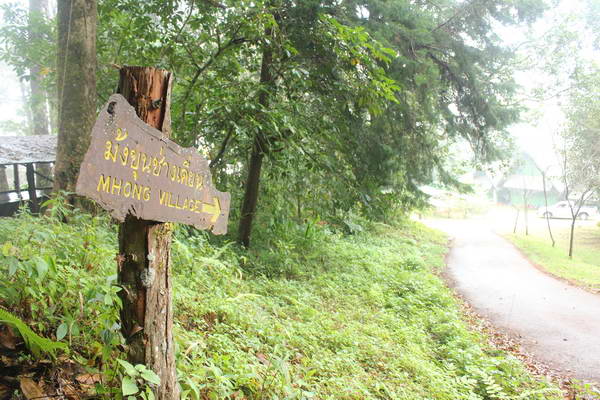 ทางไปบ้านม้งขุนช่างเคี่ยน วันนี้ไม่ได้ไปเพราะดอกซากูระเมืองไทยยังไม่ออกดอก