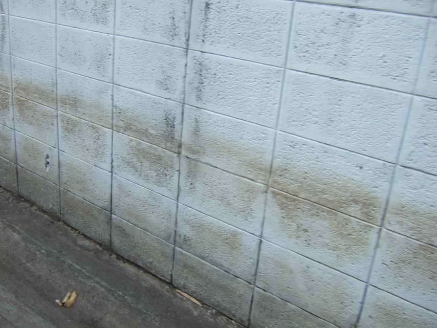 DSCF6275.JPG